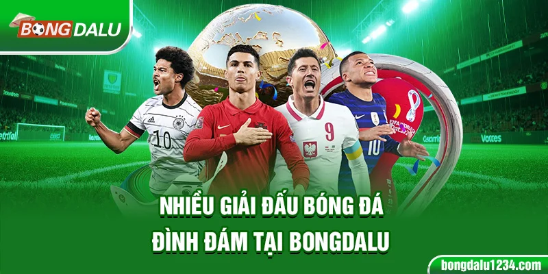 Nhiều giải đấu bóng đá đình đám tại Bongdalu